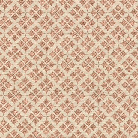 Kasmir Devi Persimmon Fabric