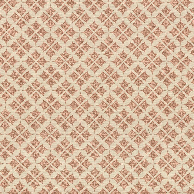 Kasmir Devi Persimmon Fabric