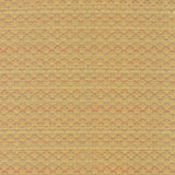 Kasmir Diamonside Gold Fabric