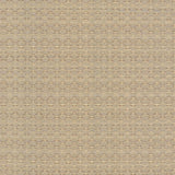 Kasmir Diamonside Haze Fabric