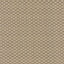Kasmir Diamonside Latte Fabric