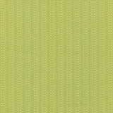 Kasmir Diffusion Citrus Fabric