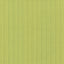 Kasmir Diffusion Citrus Fabric