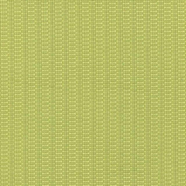 Kasmir Diffusion Citrus Fabric
