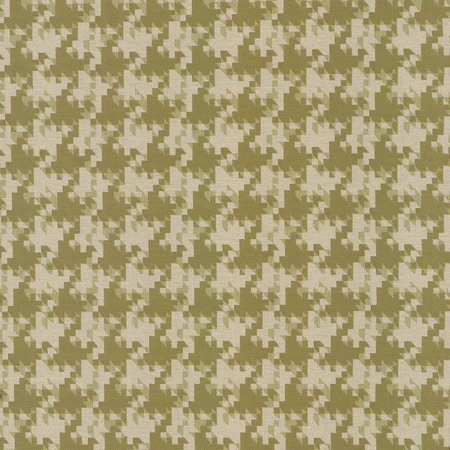 Kasmir Dog Park Citrus Fabric