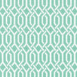 Kasmir Dont You Fret Mint Julep Fabric