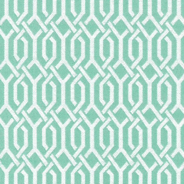 Kasmir Dont You Fret Mint Julep Fabric