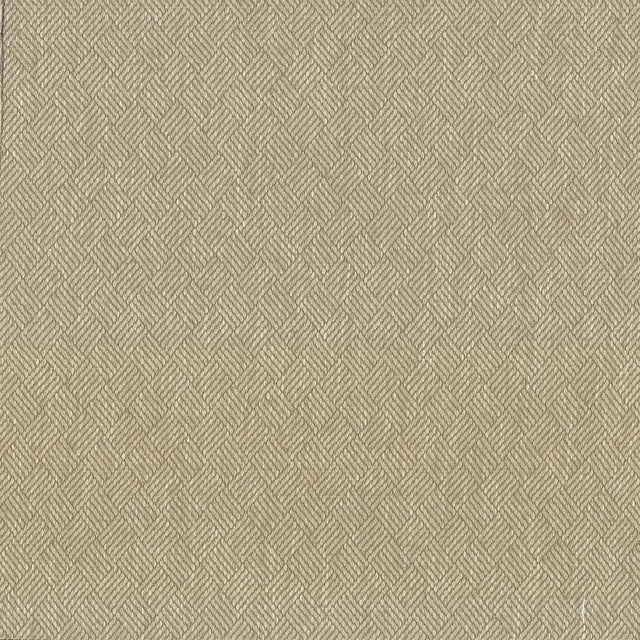 Kasmir Dream Weaver Oyster Fabric