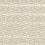 Kasmir Drive Time Quarry Fabric