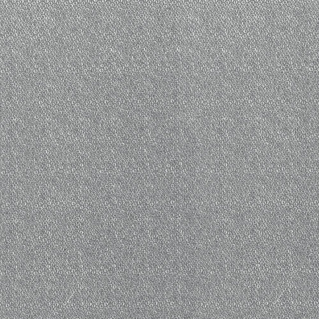 Kasmir Drizzle Platinum Fabric