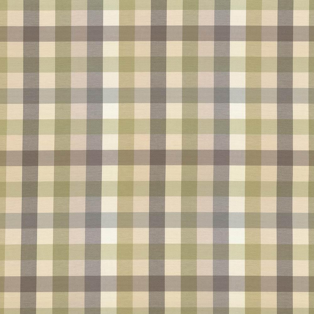 Kasmir Dupuy Check Grey Garden Fabric