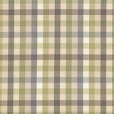Kasmir Dupuy Check Grey Garden Fabric