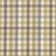 Kasmir Dupuy Check Grey Garden Fabric