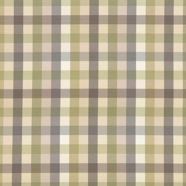 Kasmir Dupuy Check Grey Garden Fabric