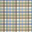 Kasmir Dupuy Check Mineral Fabric