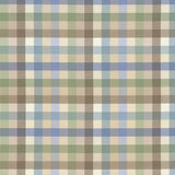 Kasmir Dupuy Check Mineral Fabric