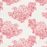 Schumacher Great Barrier Reef Pink Fabric