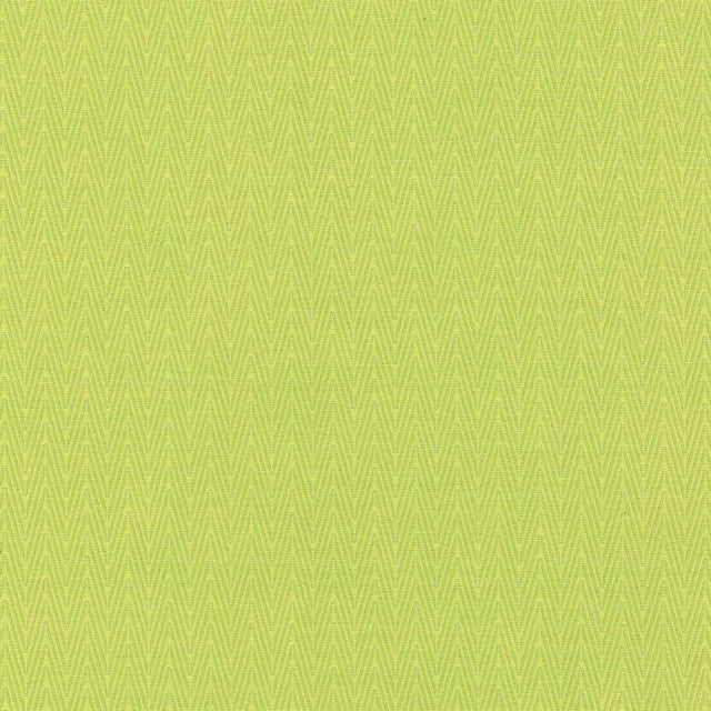 Kasmir Ecco Chic Citrine Fabric