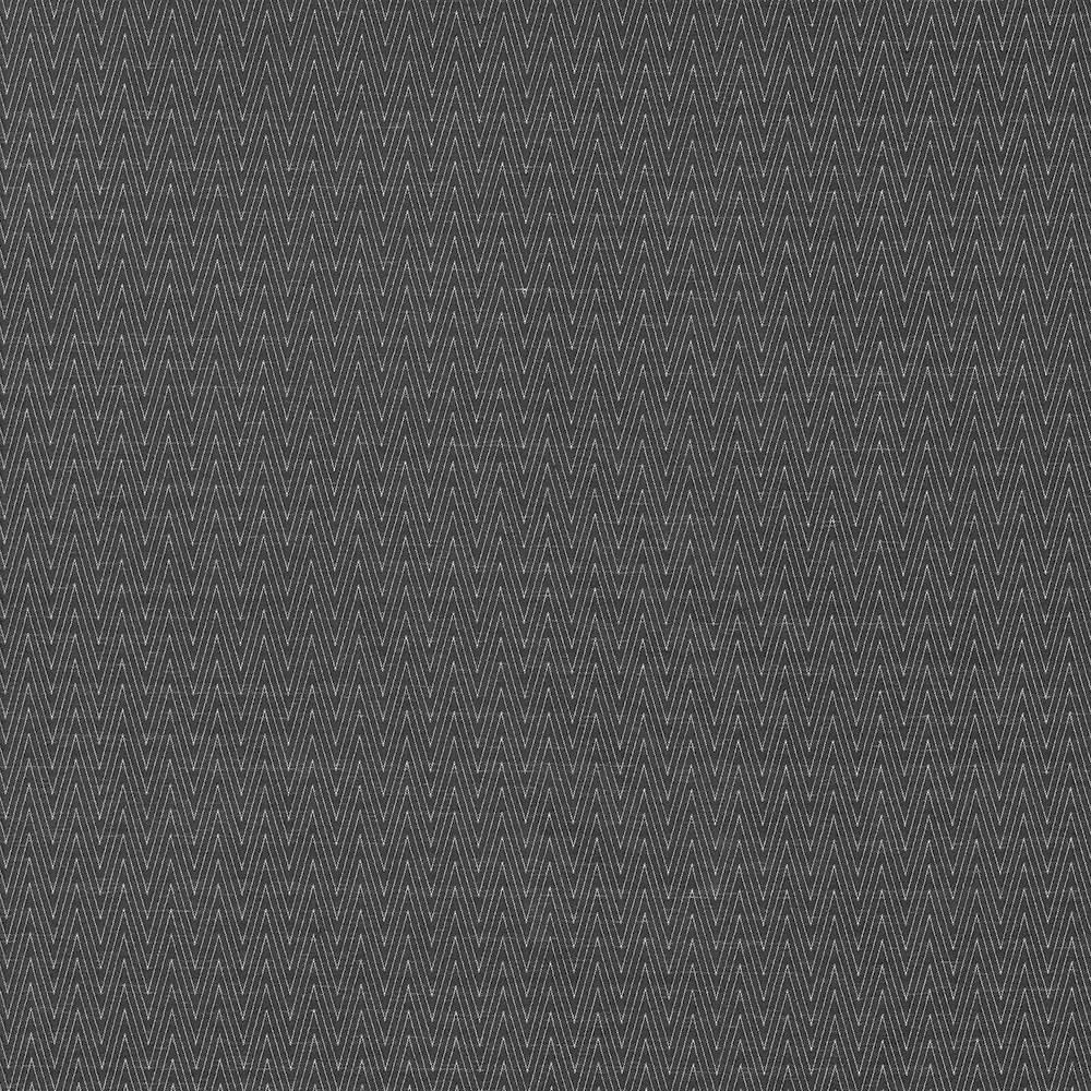 Kasmir Ecco Chic Onyx Fabric