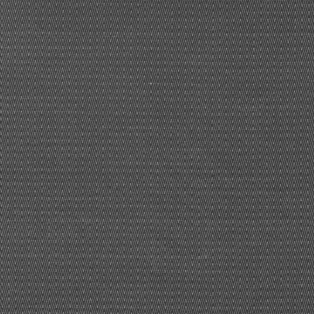 Kasmir Ecco Chic Onyx Fabric