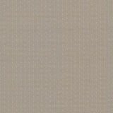 Kasmir Ecco Chic Quartz Fabric
