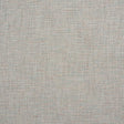 Schumacher Max Woven Mineral Fabric