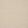 Schumacher Stingray Champagne Fabric