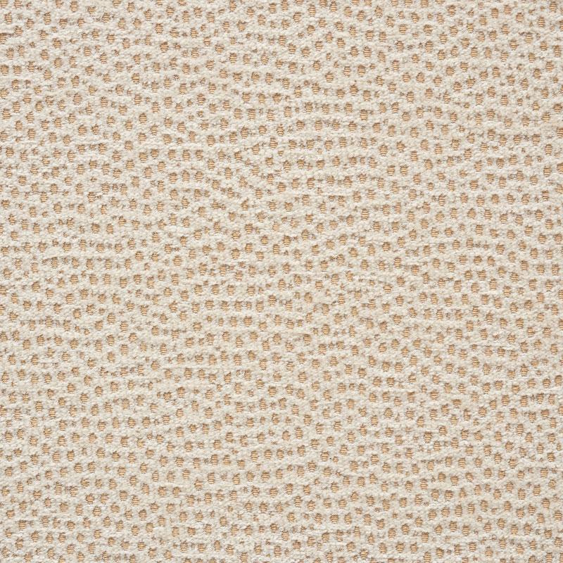 Schumacher Stingray Champagne Fabric