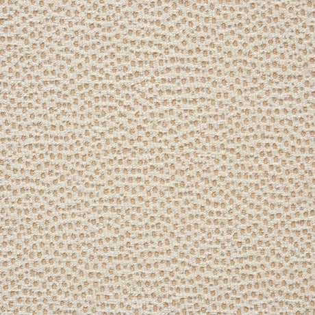 Schumacher Stingray Champagne Fabric