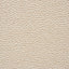Schumacher Stingray Champagne Fabric