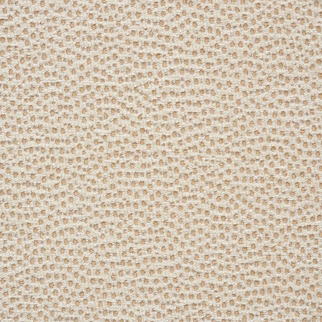 Schumacher Stingray Champagne Fabric