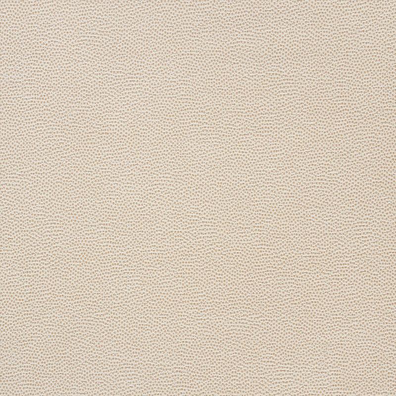 Schumacher Stingray Champagne Fabric