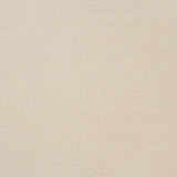 Schumacher Stingray Champagne Fabric