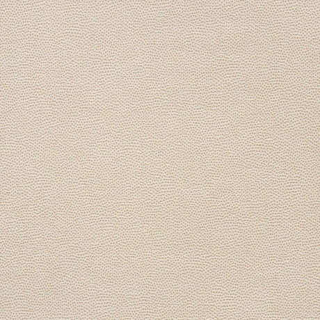 Schumacher Stingray Champagne Fabric