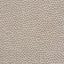 Schumacher Stingray Zinc Fabric
