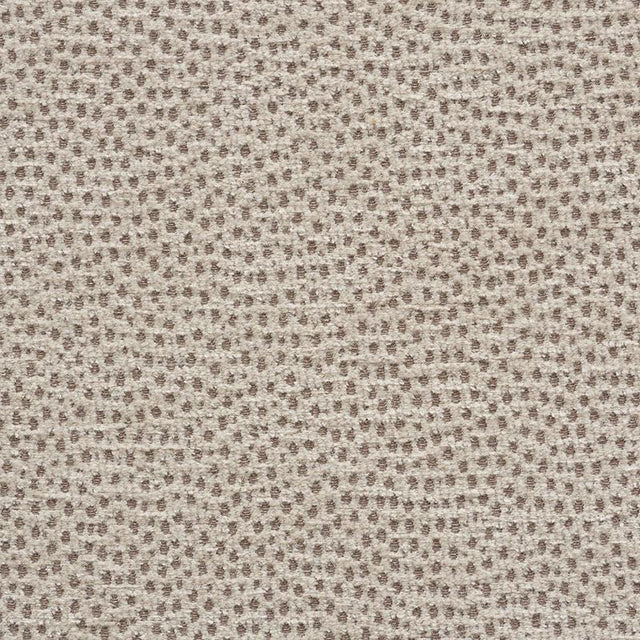 Schumacher Stingray Zinc Fabric