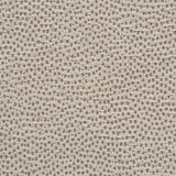 Schumacher Stingray Zinc Fabric