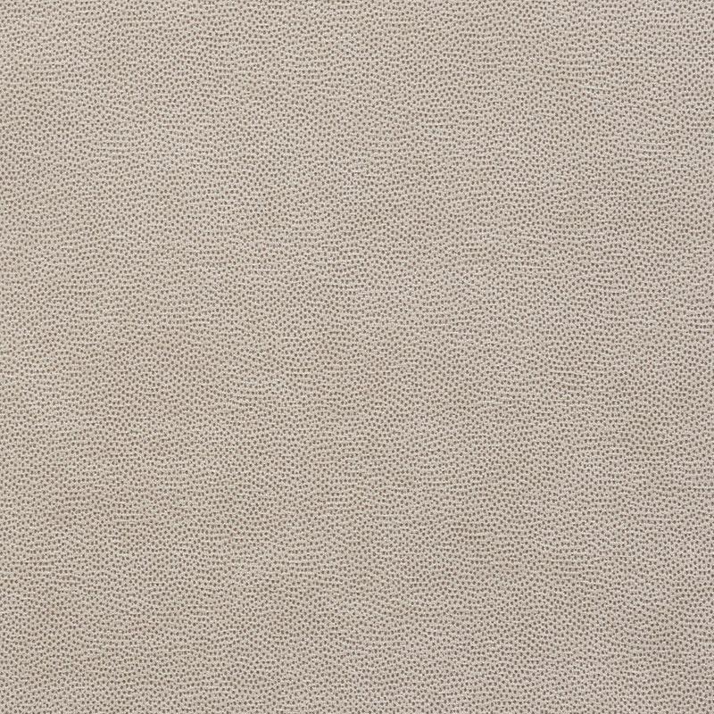 Schumacher Stingray Zinc Fabric
