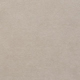 Schumacher Stingray Zinc Fabric