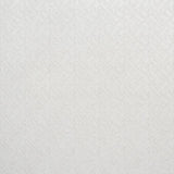 Schumacher Eberly Platinum Fabric