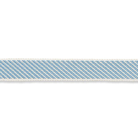 Schumacher Sky Winston Cotton Braid Narrow