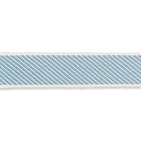 Schumacher Sky Winston Cotton Braid Medium