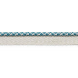 Schumacher Keaton Lip Cord Indoor/Outdoor Ocean Trim