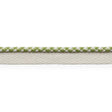 Schumacher Leaf Keaton Lip Cord Indoor/Outdoor
