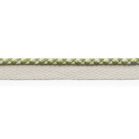 Schumacher Keaton Lip Cord Indoor/Outdoor Leaf Trim