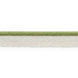 Schumacher Leaf Coleman Lip Cord