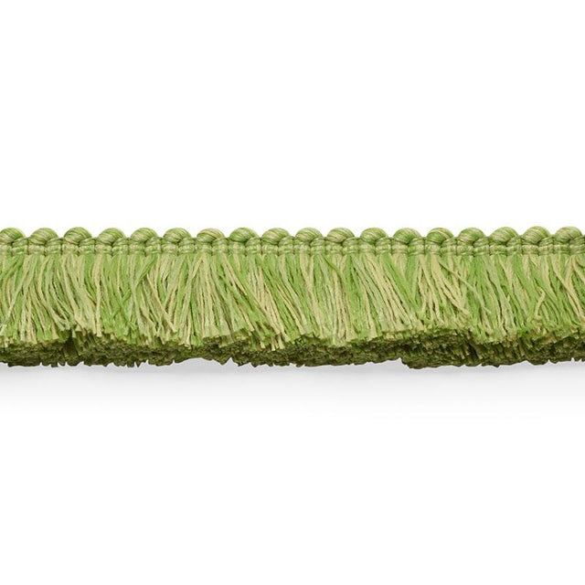 Schumacher Leaf Meyer Brush Fringe