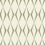 Kasmir Entasis Grey Fabric