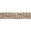 Schumacher Taupe Guinen Tape