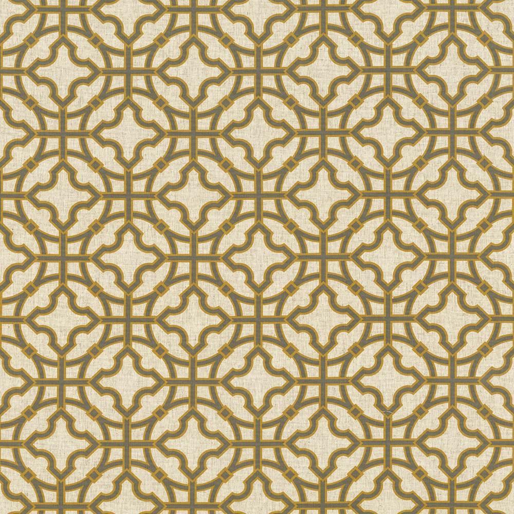 Kasmir Equis Titanium Fabric